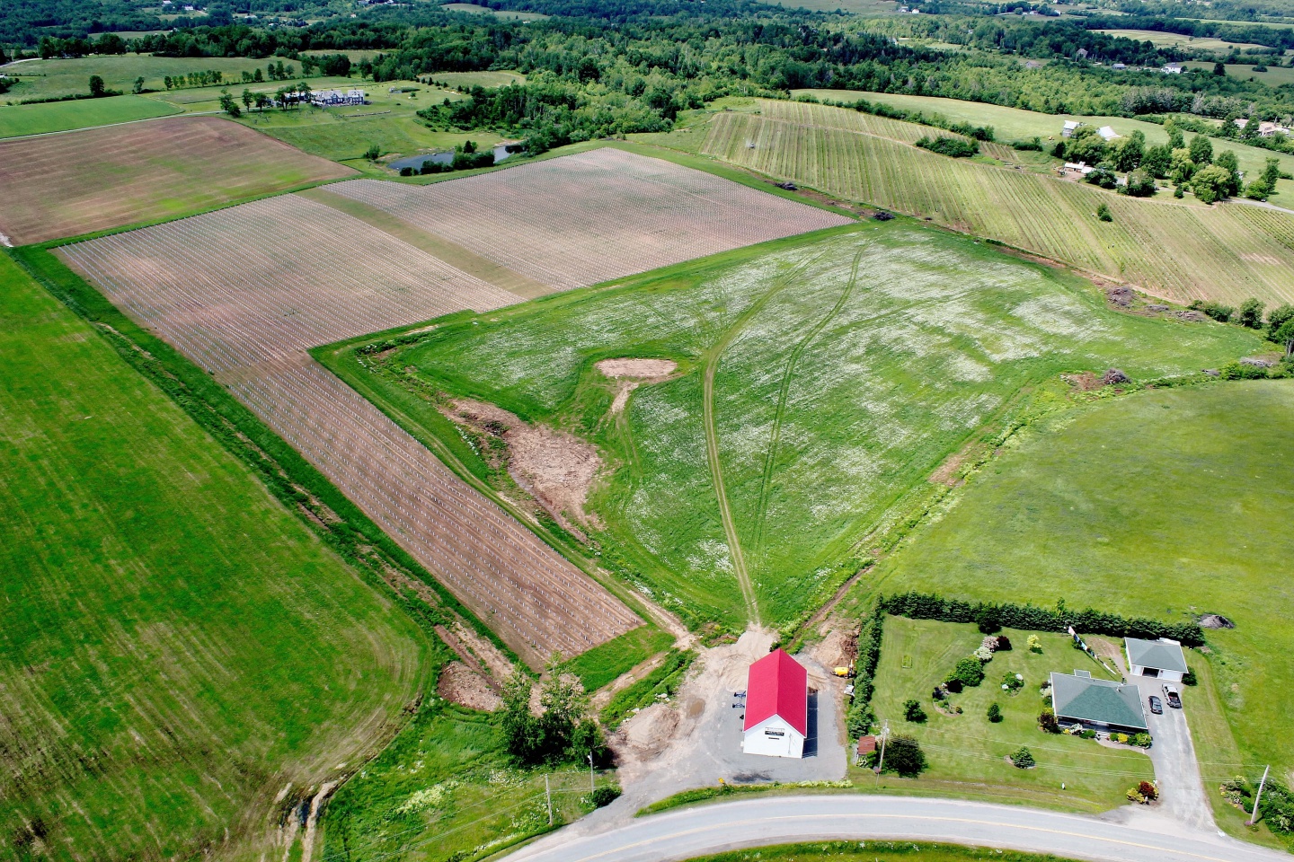 Aerial-view-of-the-vineyard-with-the-Avon-River-in-the-background-2.jpg