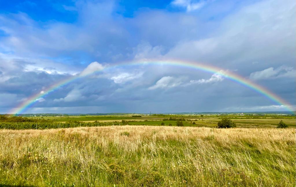 An unusual January rainbow at Johnston Vineyards.